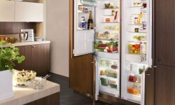 Как выбрать холодильник с системой No Frost