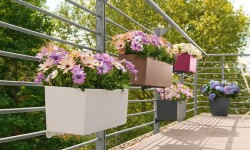 Обзор балконных кашпо — какой вариант лучше выбрать для посадки цветов
