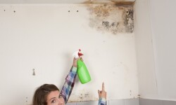 Как очистить плесень со стен в ванной