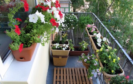 Способы закрепления горшков и ящиков с цветами на балконах