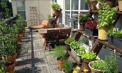 Создание огорода на балконе своими руками — пошаговая инструкция