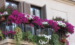 Как выбрать на балкон цветочный ящик — обзор цветочных контейнеров
