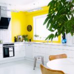 желтые стены с белой кухней