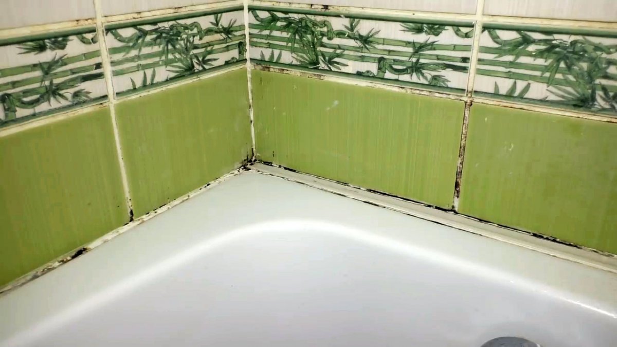 плесень на стенах в ванной
