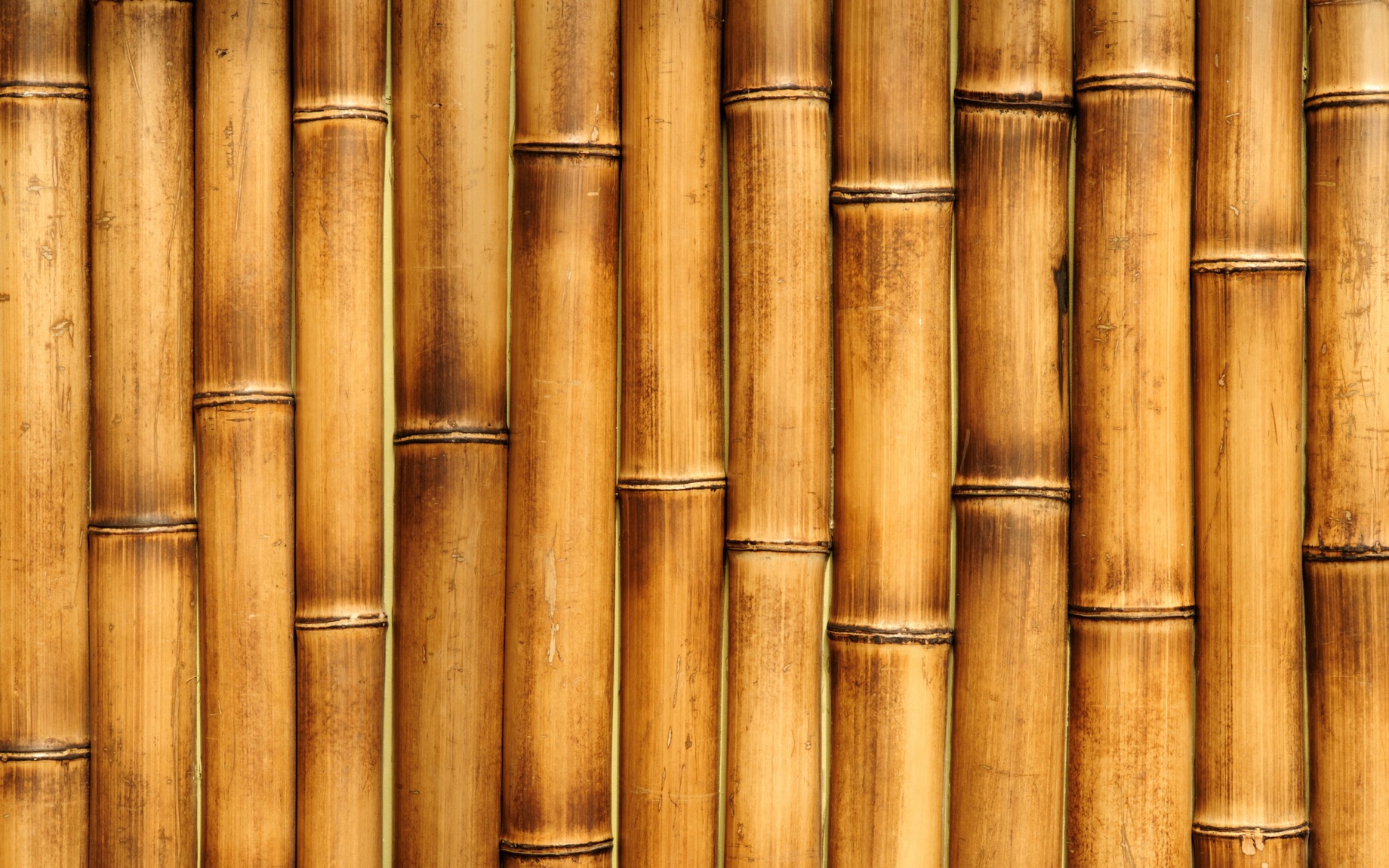 Древесина бамбука.