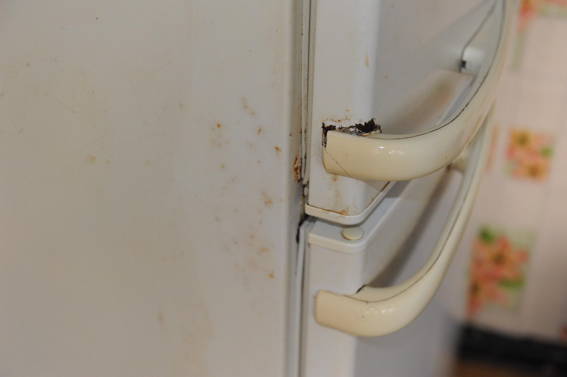 ремонт двери холодильника