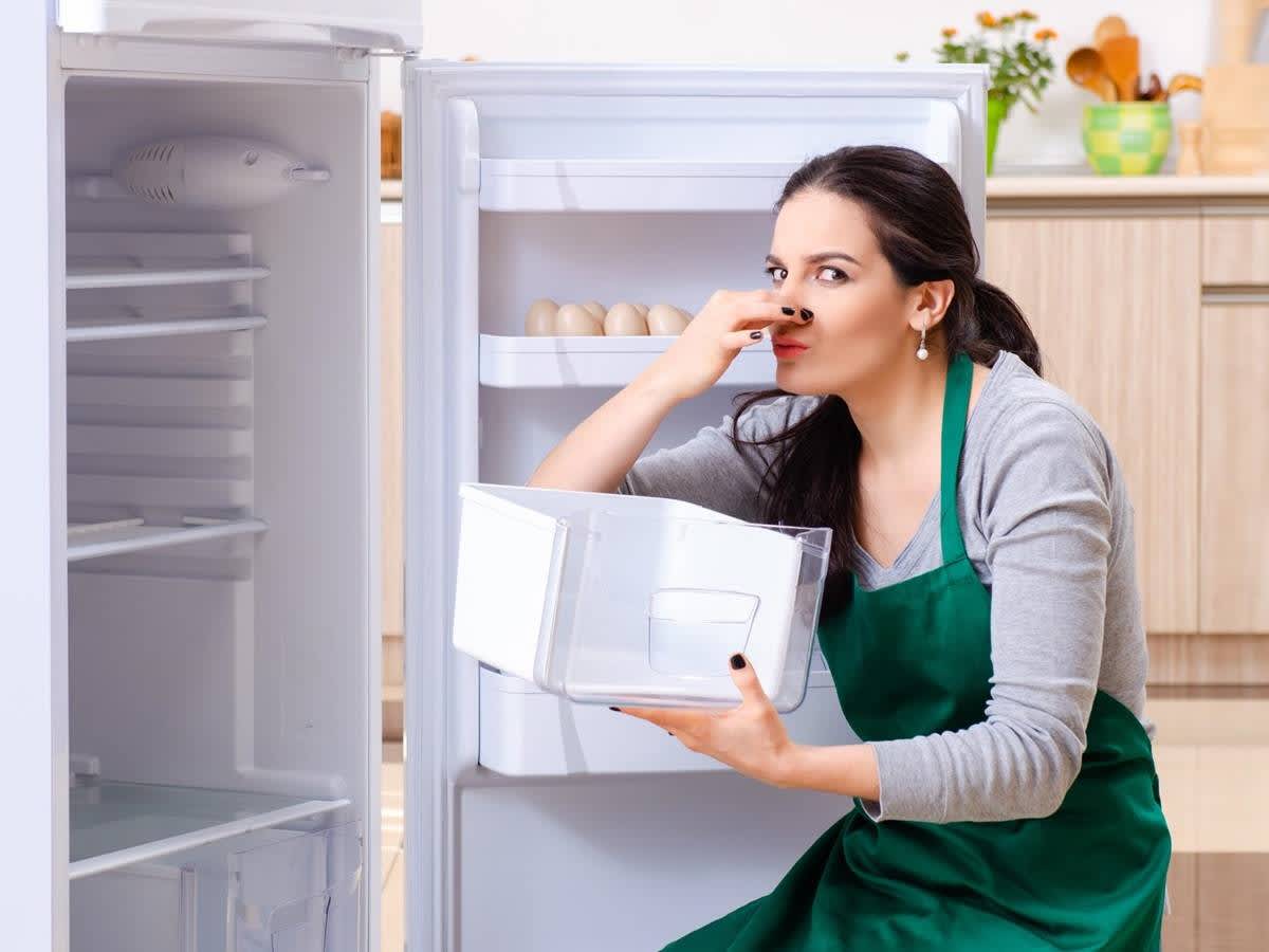 Как убрать запах из холодильника: 14 способов