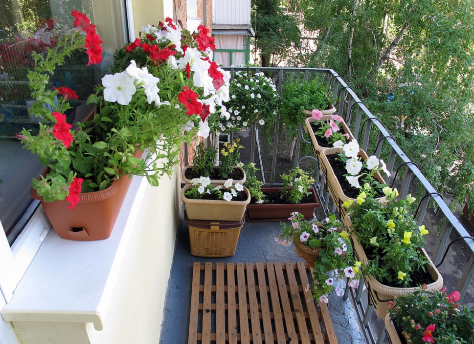 Как повесить кашпо на балконе своими руками: способы закрепления цветочногогоршка