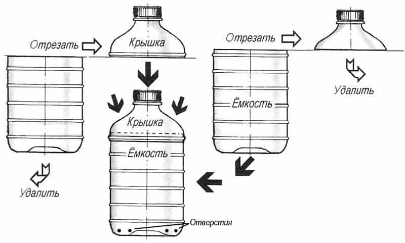 Огурцы на балконе выращивание в пластиковых бутылках: пошаговая инструкция